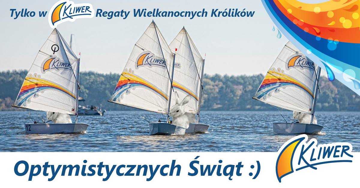 regaty królików:)